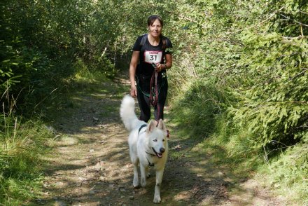 Fragment biegu Pucharu Polski w Dogtrekkingu w Wiśle
